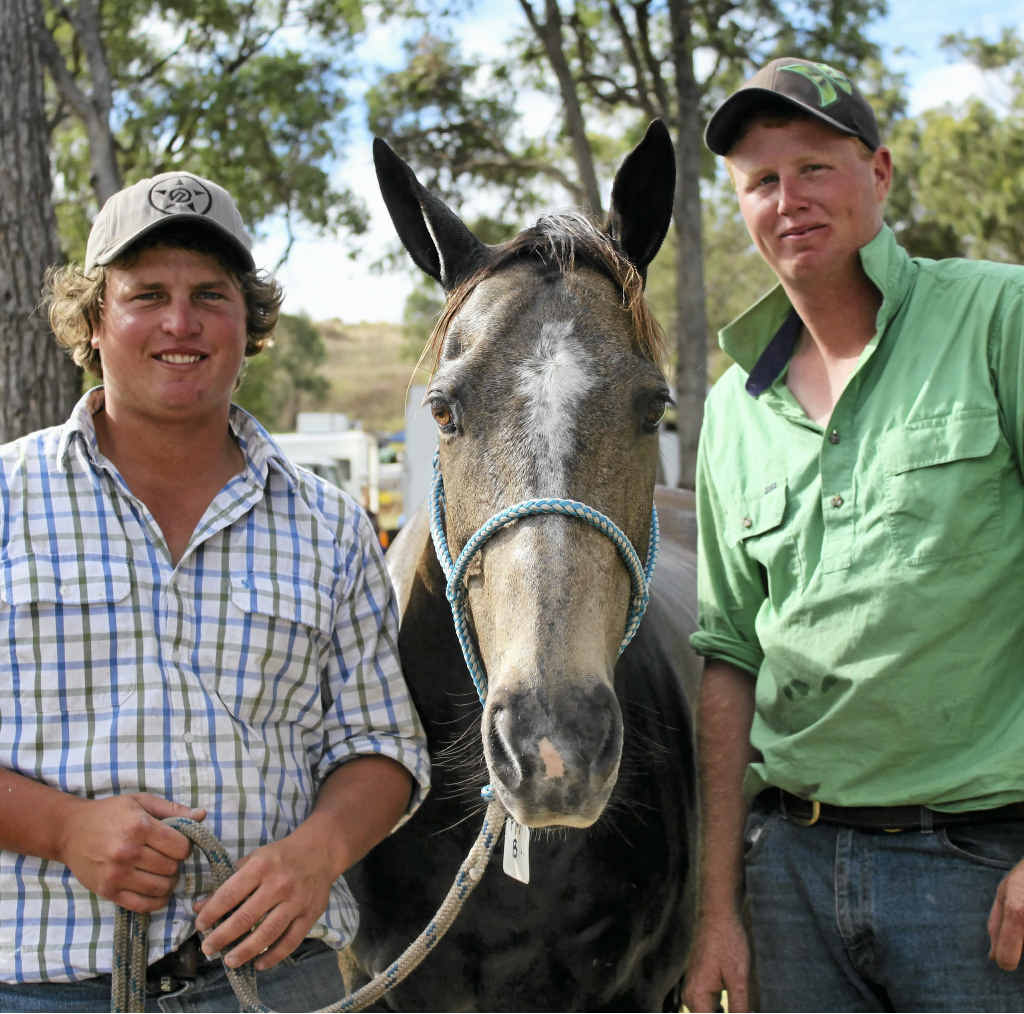 Some of the New South Welshmen have arrived at Morgan Park, including Trent Mortimer, Wayne Stevenson and Storm the horse. Some of the New South Welshmen have arrived at Morgan Park, including Trent Mortimer, Wayne Stevenson and Storm the horse.